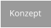 Konzept